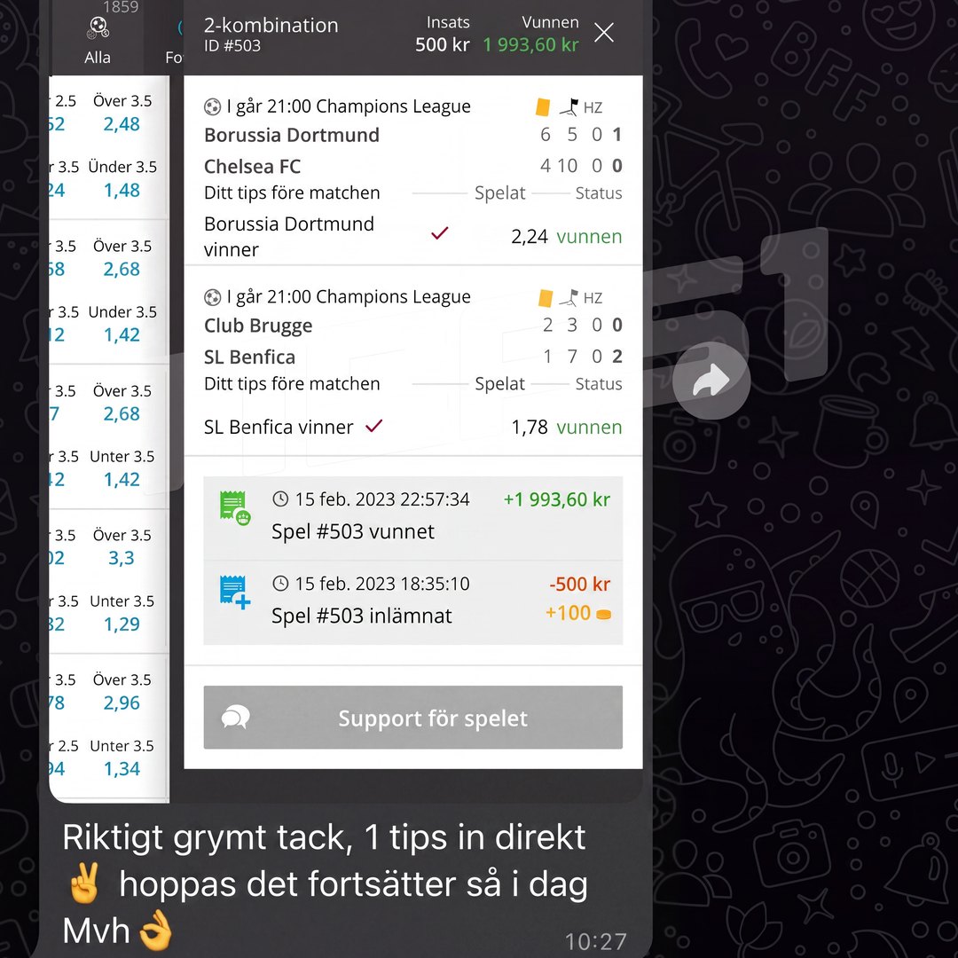 Skärmdump från kund